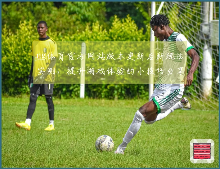 ng体育官方网站版本更新后新玩法实测，提升游戏体验的小技巧分享